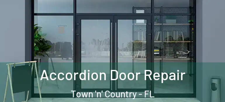 Accordion Door Repair Town 'n' Country - FL