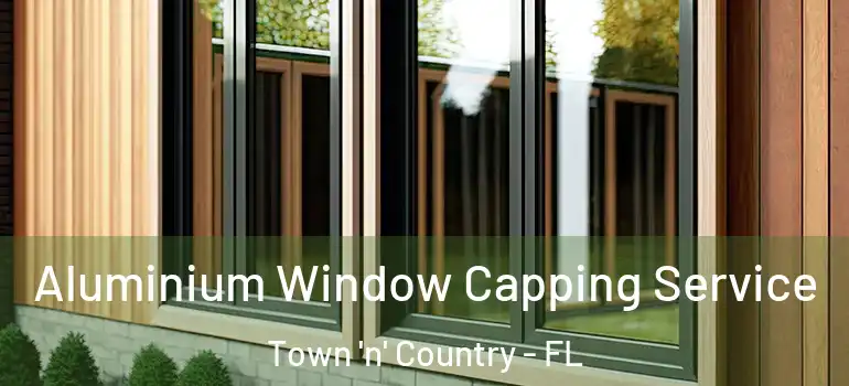 Aluminium Window Capping Service Town 'n' Country - FL