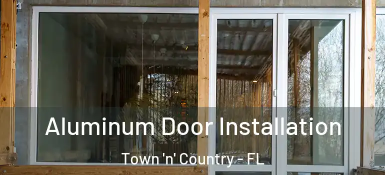 Aluminum Door Installation Town 'n' Country - FL
