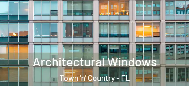 Architectural Windows Town 'n' Country - FL