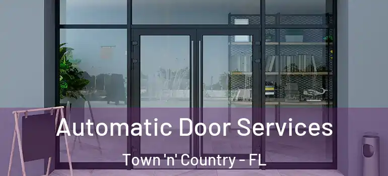 Automatic Door Services Town 'n' Country - FL