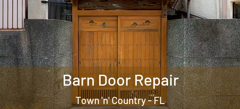 Barn Door Repair Town 'n' Country - FL
