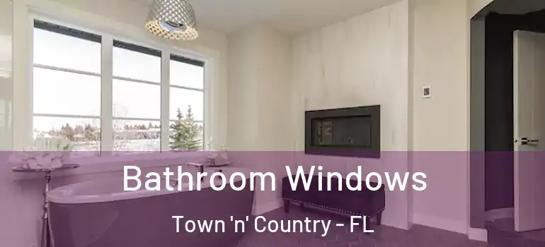 Bathroom Windows Town 'n' Country - FL