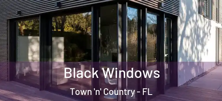 Black Windows Town 'n' Country - FL