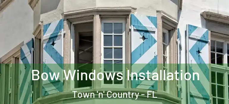 Bow Windows Installation Town 'n' Country - FL