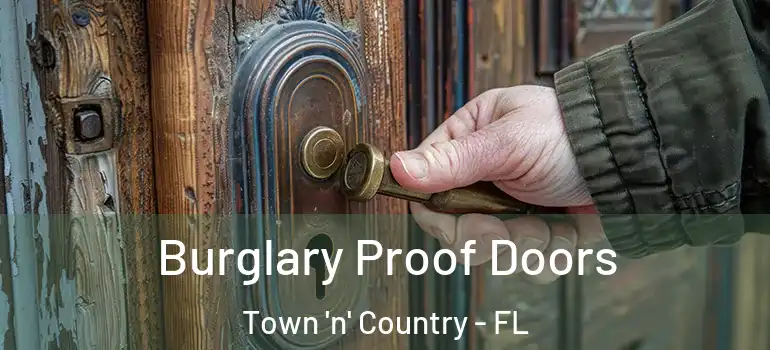 Burglary Proof Doors Town 'n' Country - FL