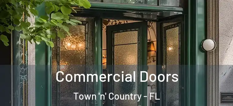 Commercial Doors Town 'n' Country - FL