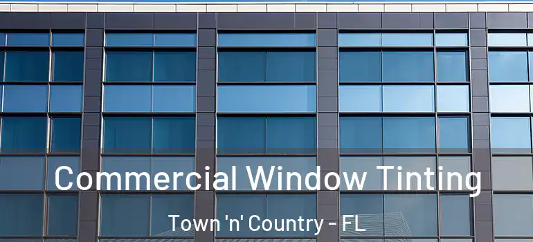 Commercial Window Tinting Town 'n' Country - FL