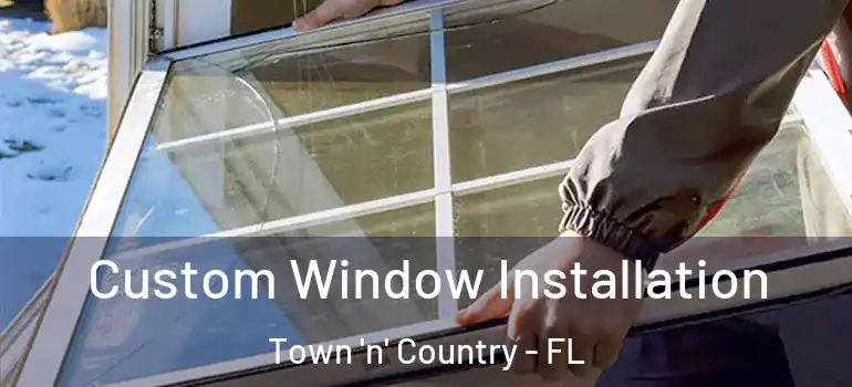 Custom Window Installation Town 'n' Country - FL