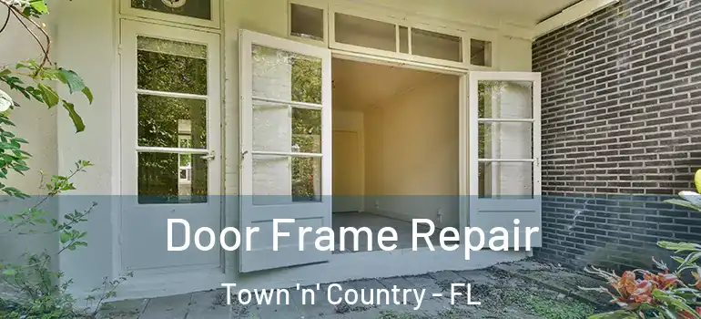Door Frame Repair Town 'n' Country - FL