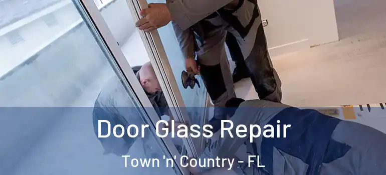 Door Glass Repair Town 'n' Country - FL