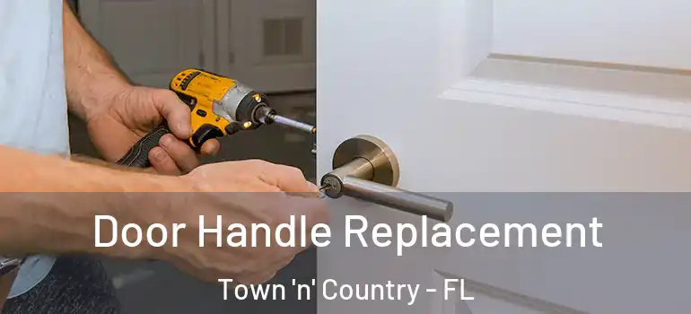 Door Handle Replacement Town 'n' Country - FL