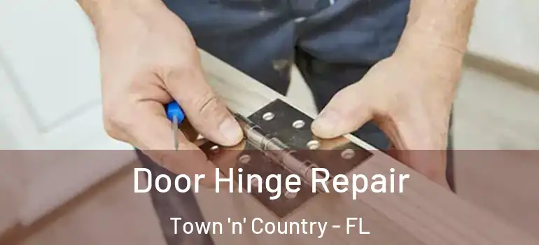 Door Hinge Repair Town 'n' Country - FL
