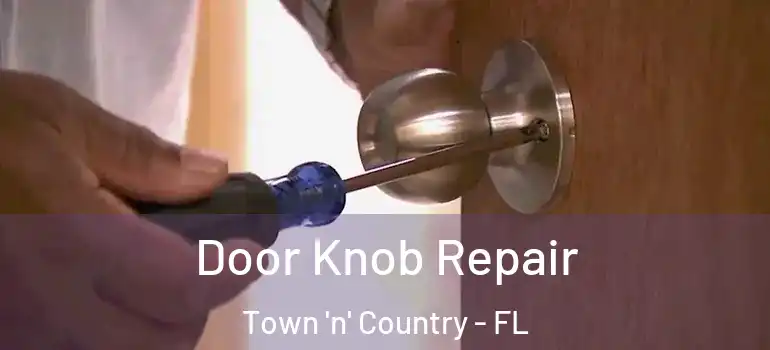 Door Knob Repair Town 'n' Country - FL