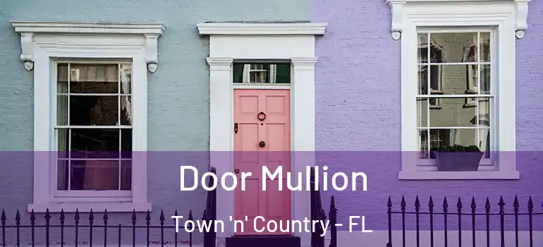 Door Mullion Town 'n' Country - FL