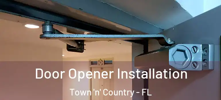 Door Opener Installation Town 'n' Country - FL