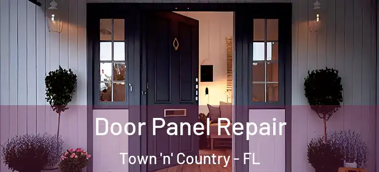 Door Panel Repair Town 'n' Country - FL