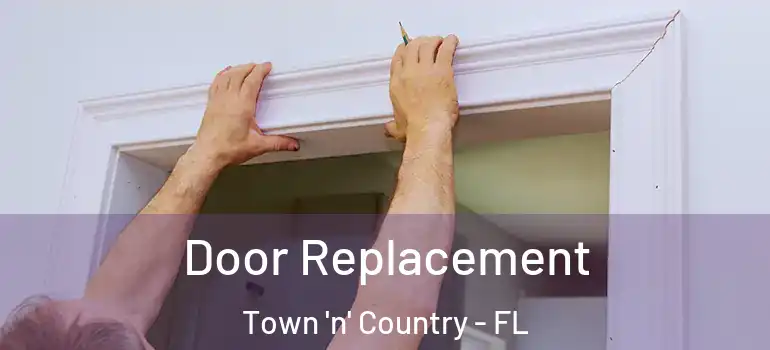 Door Replacement Town 'n' Country - FL