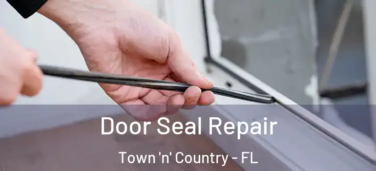 Door Seal Repair Town 'n' Country - FL