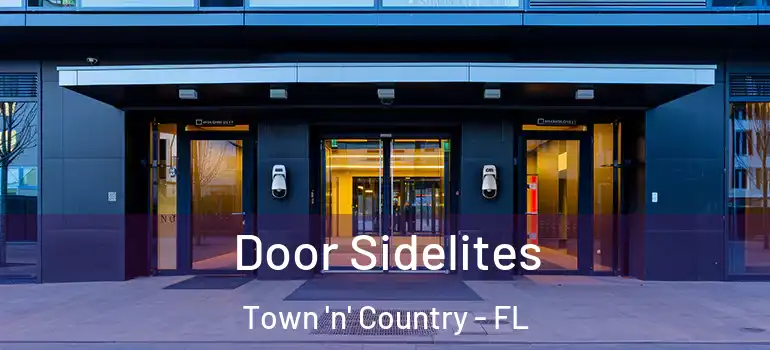 Door Sidelites Town 'n' Country - FL