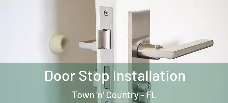 Door Stop Installation Town 'n' Country - FL