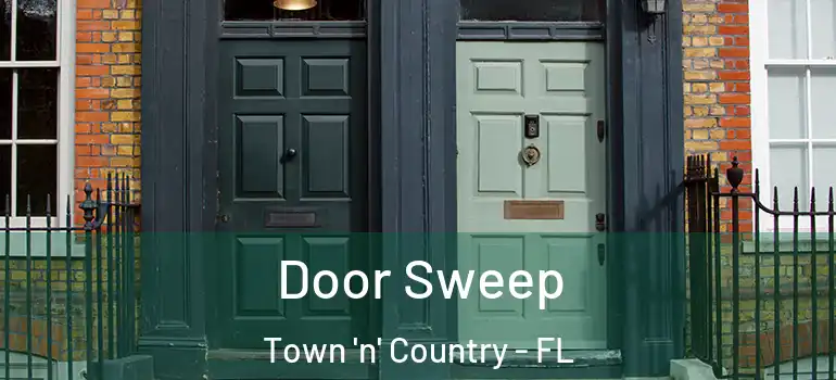 Door Sweep Town 'n' Country - FL