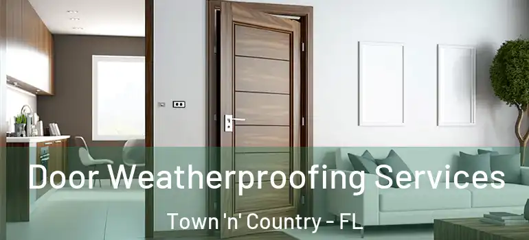 Door Weatherproofing Services Town 'n' Country - FL