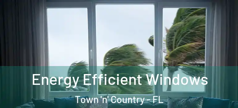 Energy Efficient Windows Town 'n' Country - FL