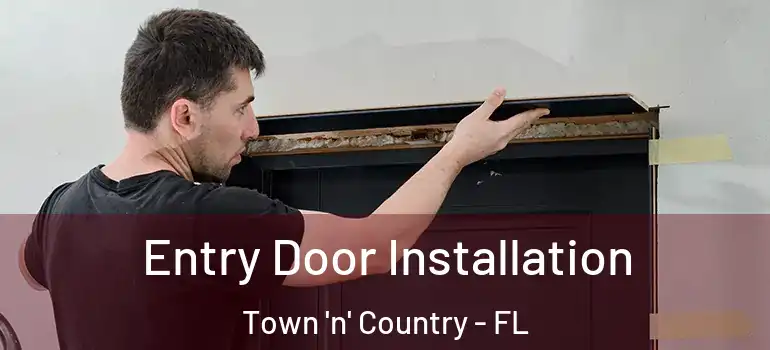 Entry Door Installation Town 'n' Country - FL