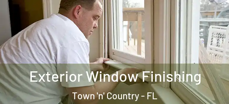 Exterior Window Finishing Town 'n' Country - FL
