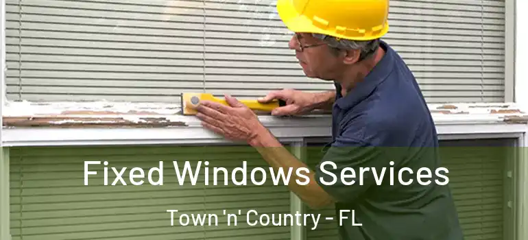Fixed Windows Services Town 'n' Country - FL