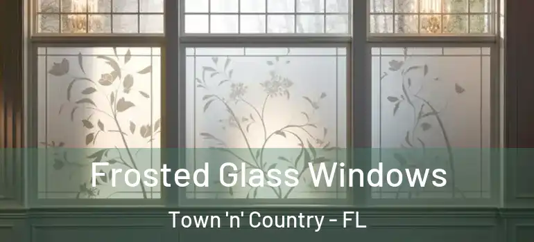 Frosted Glass Windows Town 'n' Country - FL