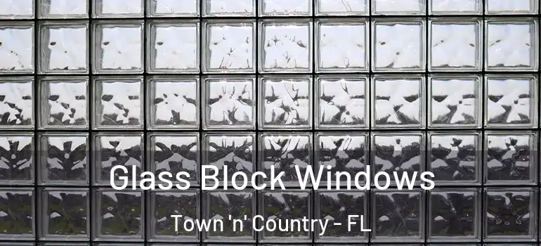 Glass Block Windows Town 'n' Country - FL