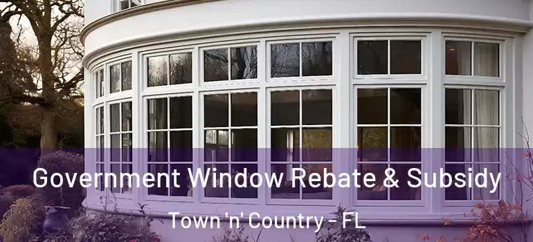Government Window Rebate & Subsidy Town 'n' Country - FL