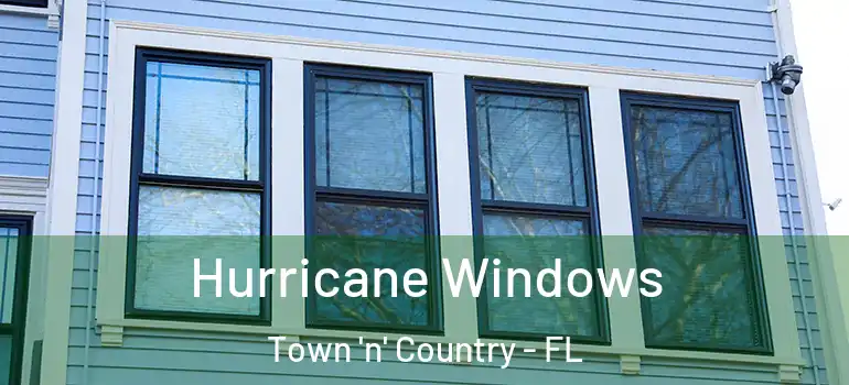 Hurricane Windows Town 'n' Country - FL