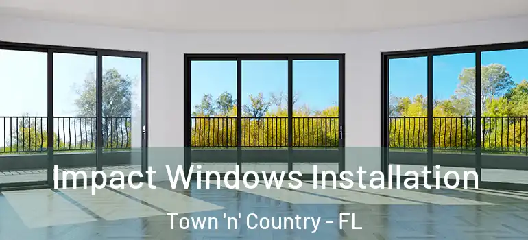 Impact Windows Installation Town 'n' Country - FL