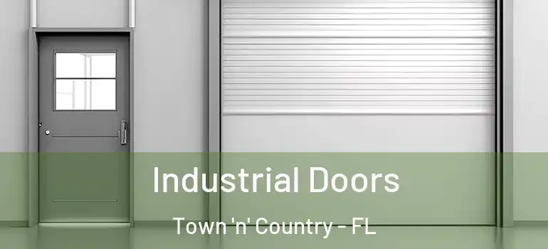 Industrial Doors Town 'n' Country - FL