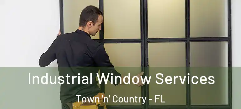 Industrial Window Services Town 'n' Country - FL