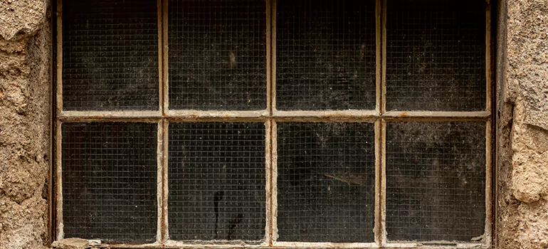 Traditional Double Front Doors in Town 'n' Country, FL