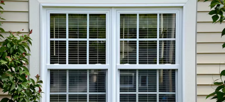 Custom Double Hung Windows in Town 'n' Country, FL
