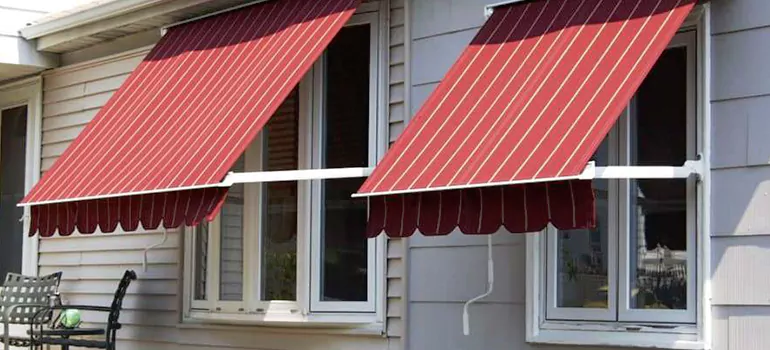 Government Rebate Window Replacement in Town 'n' Country, FL