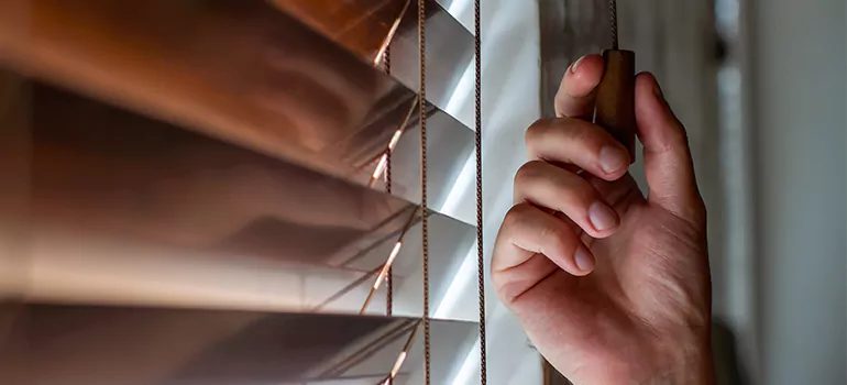 Double Roller Blinds in Town 'n' Country, FL