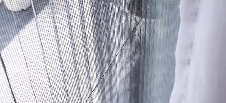 Fixing Screen Window Mesh in Town 'n' Country, FL