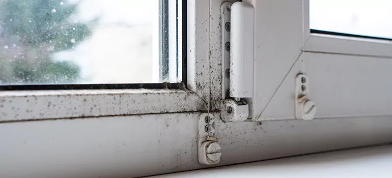 Town 'n' Country, FL