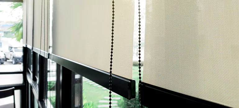 Blackout Window Shades in Town 'n' Country, FL