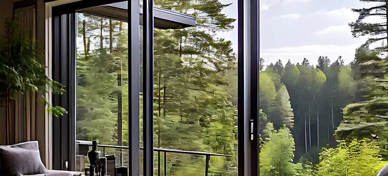 Town 'n' Country, FL