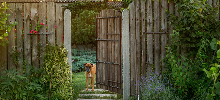 Winter Garden Garage Door Repair in Town 'n' Country,[location field=state]