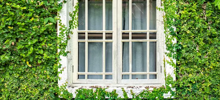 Garden Window Repair Near Me in Town 'n' Country, FL