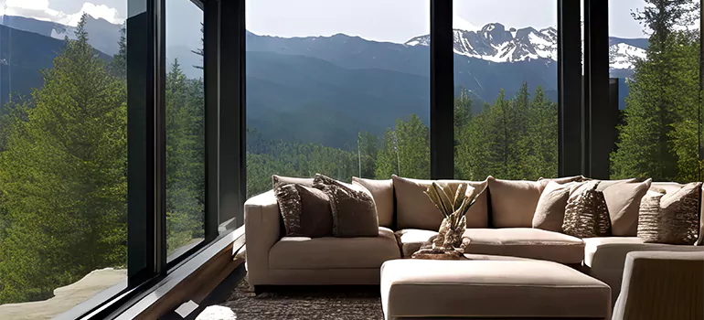 Picture Window Maintenance in Town 'n' Country, FL