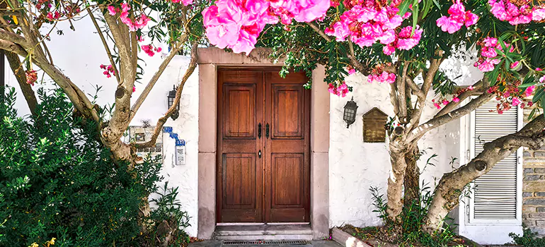 Traditional 4 Panel Internal Doors in Town 'n' Country, FL